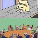 meme_cats